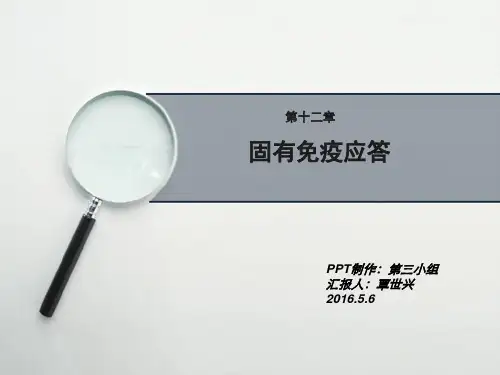 固有免疫应答