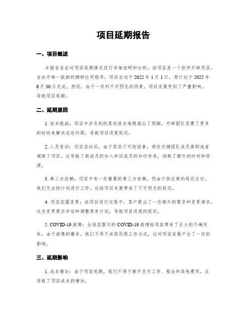 项目延期报告
