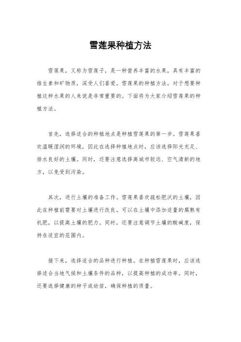 雪莲果种植方法