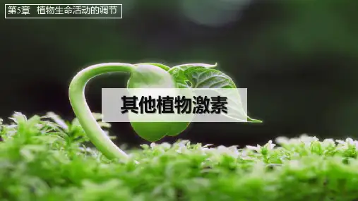 生物(2019)选择性必修15.2其他植物激素(共34张PPT)