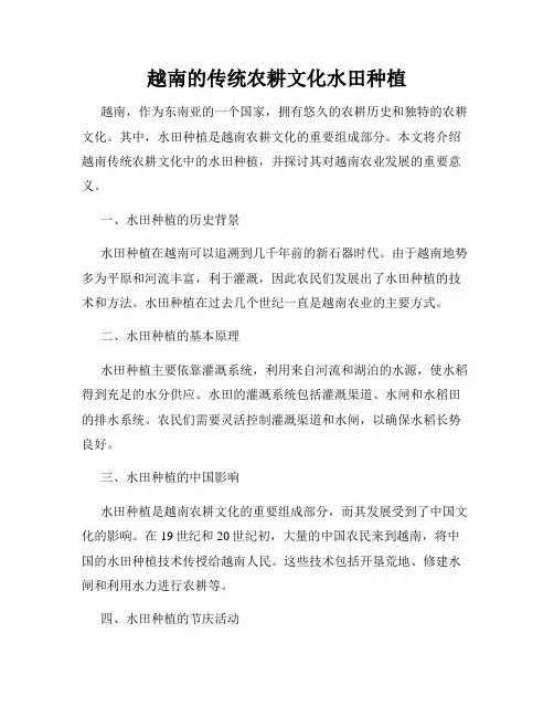 越南的传统农耕文化水田种植