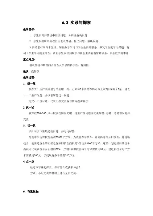 实践与探索教案13