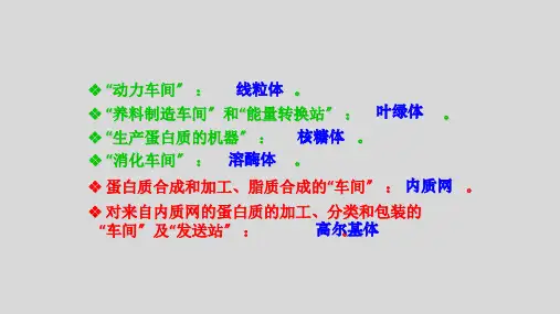 高中生物3-3细胞核--系统的控制中心优秀课件