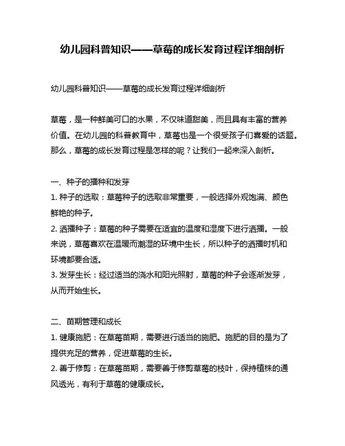 幼儿园科普知识——草莓的成长发育过程详细剖析