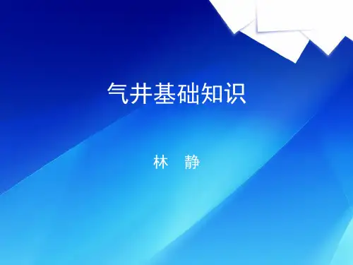 气井基础知识全解