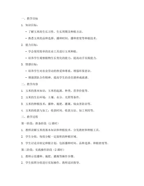 种植玉米教学设计方案