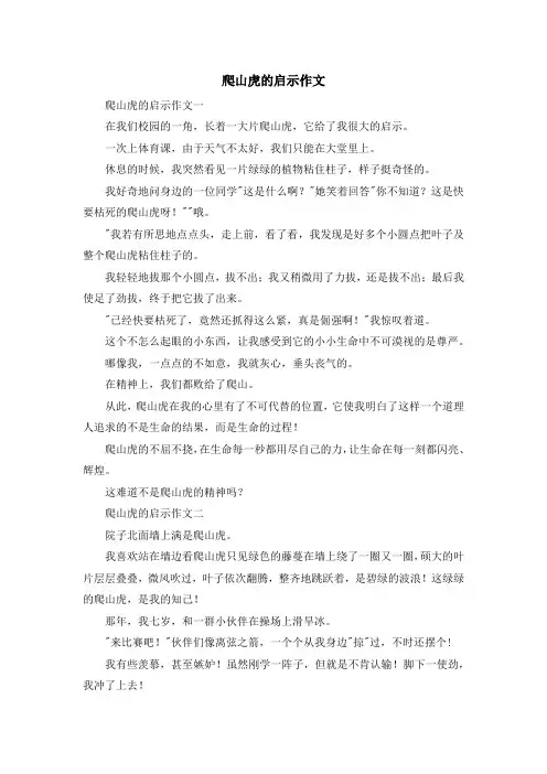 最新-爬山虎的启示作文 精品