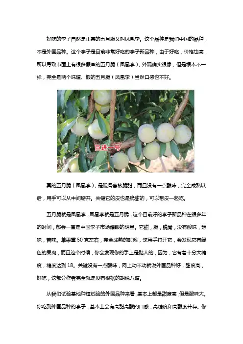 最好吃的李子是哪一种