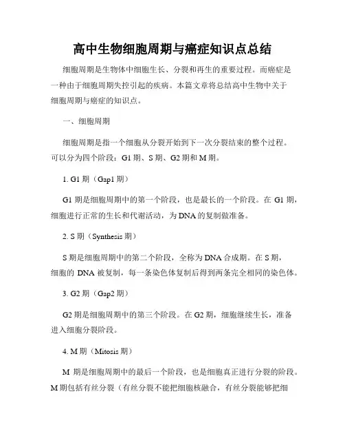 高中生物细胞周期与癌症知识点总结