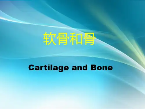组培--软骨和骨