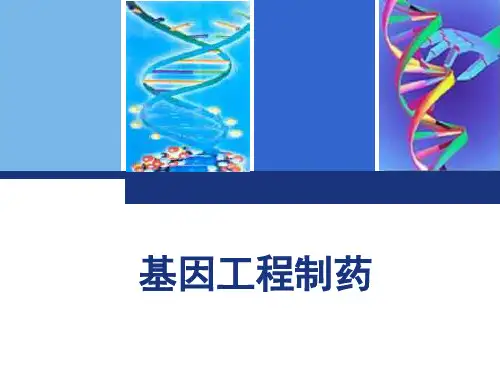生物制药：基因工程制药2