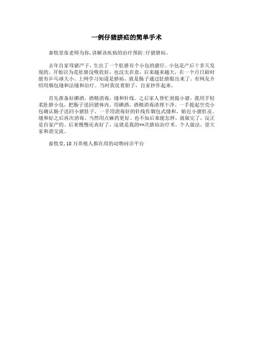 仔猪脐疝手术怎么做具体方法