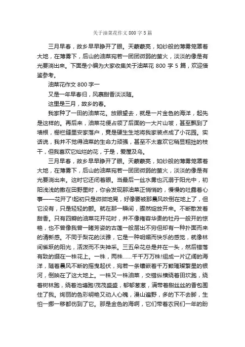 关于油菜花作文800字5篇_写景作文_