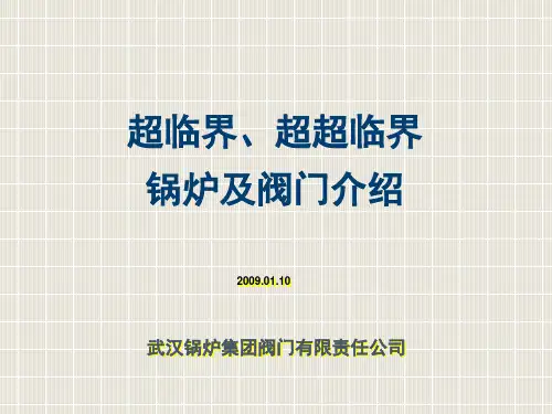 09超临界、超超临界锅炉及阀门介绍
