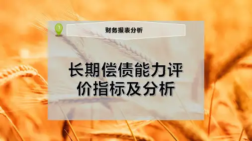 长期偿债能力评价指标及分析