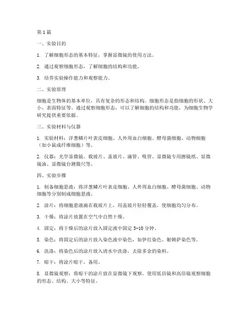 细胞的形态实验报告(3篇)