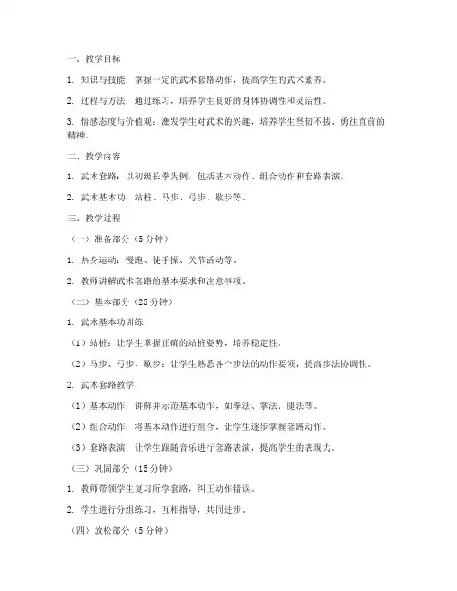 高中艺体武术套路教案模板