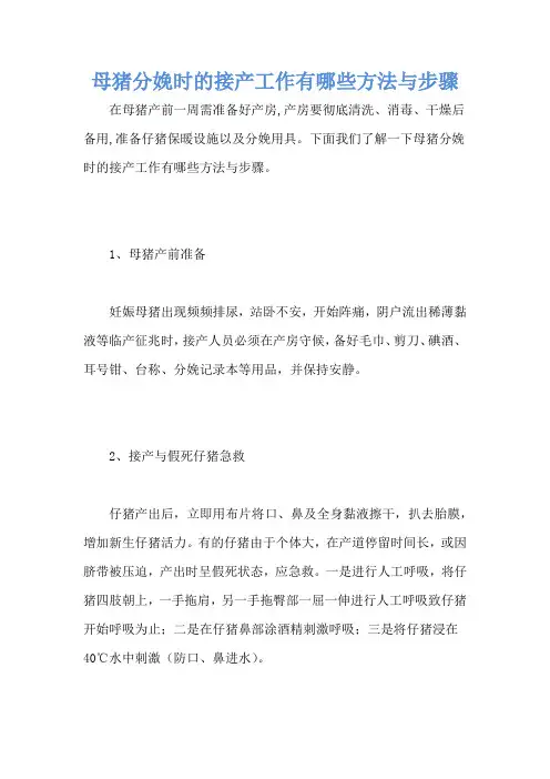 母猪分娩时的接产工作有哪些方法与步骤