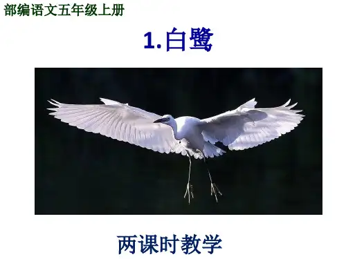 部编语文五年级上册第一课《白鹭》两课时教学设计