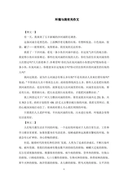 环境与我有关作文范文精选