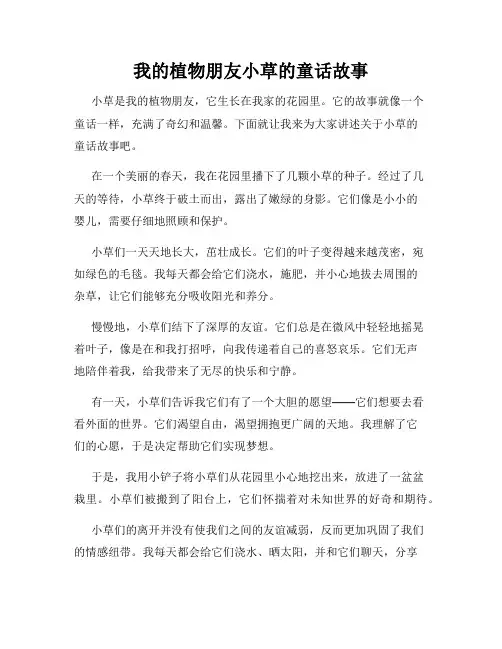 我的植物朋友小草的童话故事