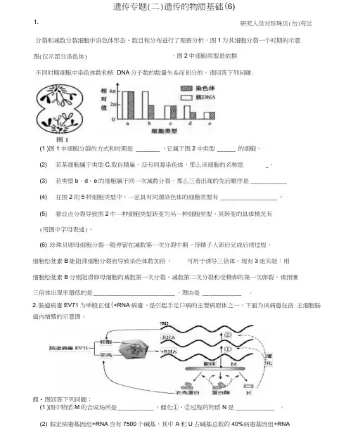 高三生物二轮复习遗传专题(二)遗传的物质基础(6)练习