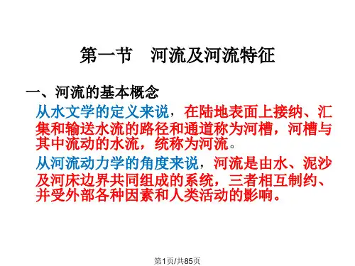河道水流的特性PPT课件