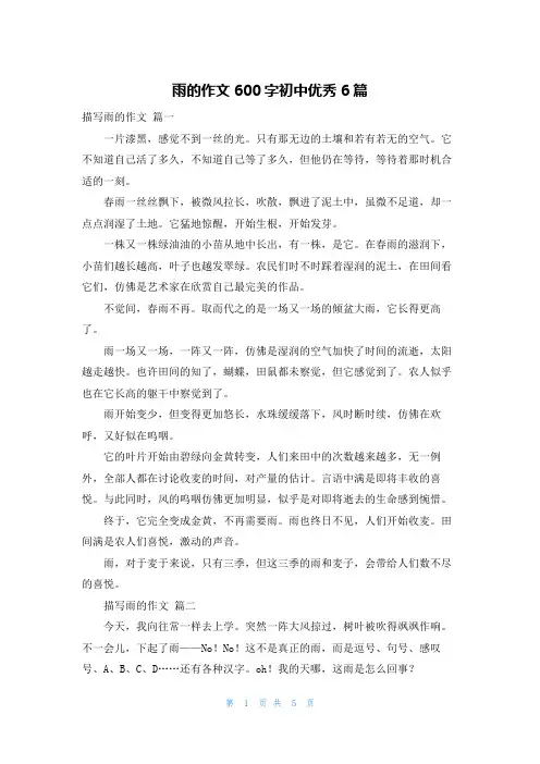 雨的作文600字初中优秀6篇