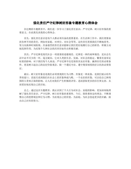 强化责任严守纪律树好形象专题教育心得体会