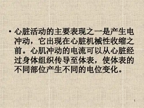 临床心电图基础知识课件
