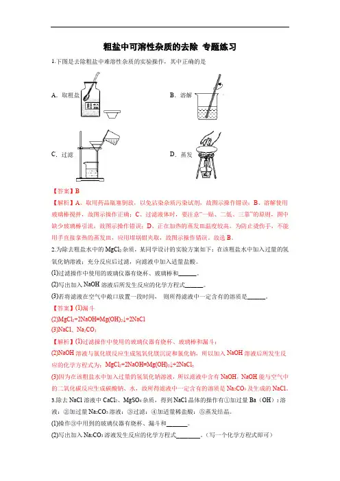 专题08 粗盐中可溶性杂质的去除(专练)中考化学二轮复习专项备考宝典(全国通用)(解析版)