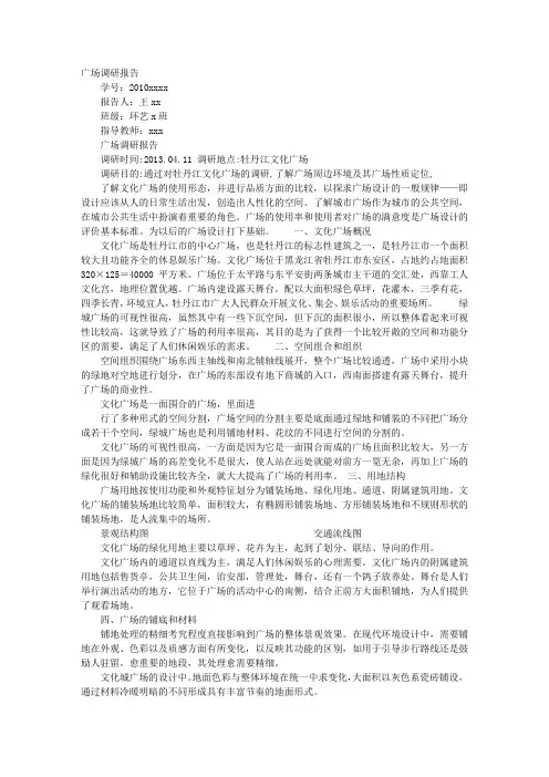 广场的调查报告
