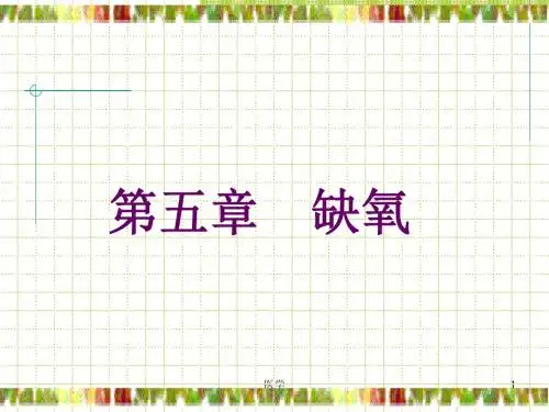 病理生理学--缺氧  ppt课件