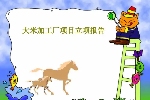 大米加工厂项目立项报告PPT文档共22页