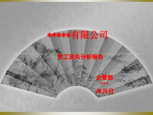 年度报告-员工流失原因分析报告及人力资源工作总结(PPT164页)