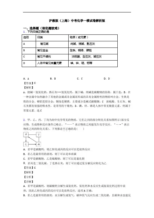 沪教版(上海)中考化学一模试卷解析版