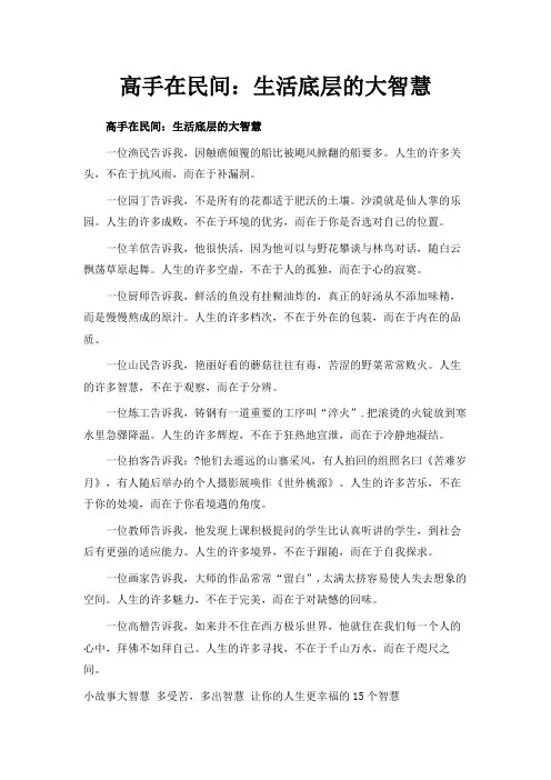 最新-高手在民间来自生活底层的大智慧 精品
