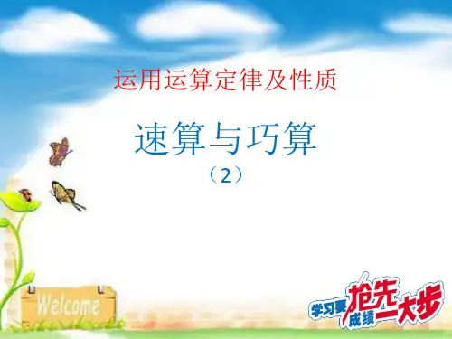 速算与巧算2