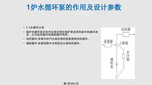 炉水循环泵PPT课件