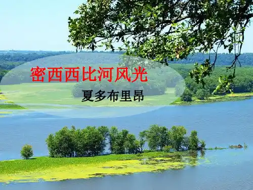 3.密西西比河风光