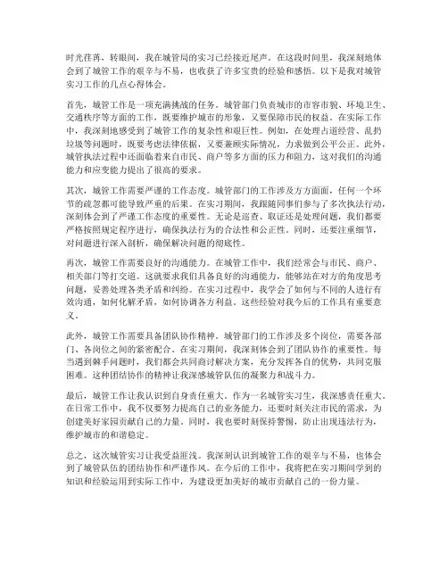 城管实习工作心得体会