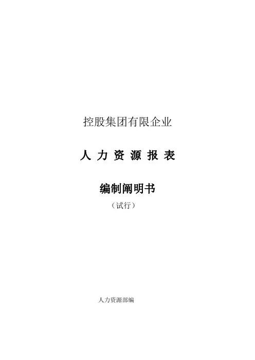 控股集团有限公司人力资源报表体系编制说明书