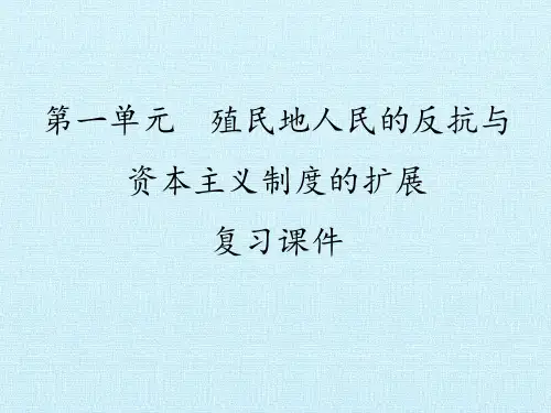 人民教育部编版九年级下册 殖民地人民的反抗与资本主义制度的扩展 复习课件