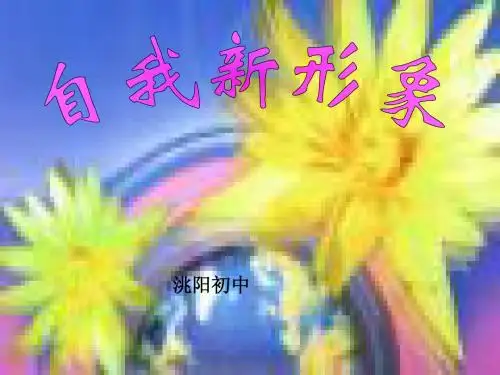自我新形象