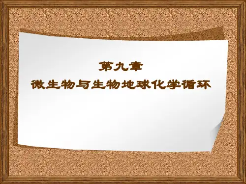 第九章_微生物与生物地球化学循环