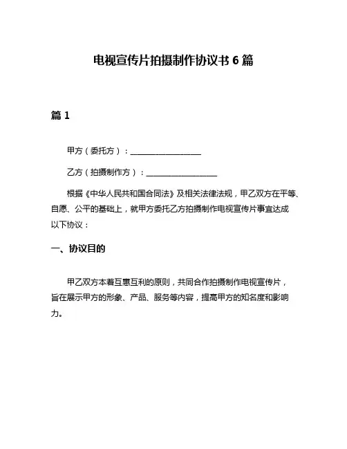 电视宣传片拍摄制作协议书6篇