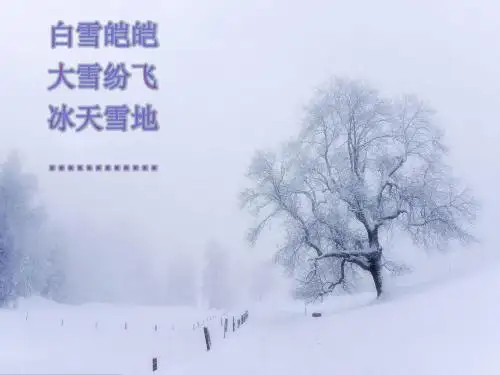 江雪