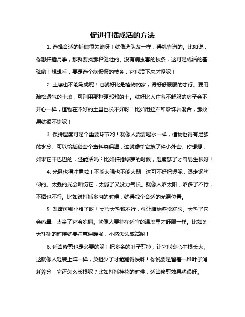 促进扦插成活的方法