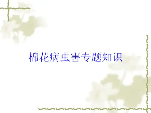 棉花病虫害专题知识培训课件