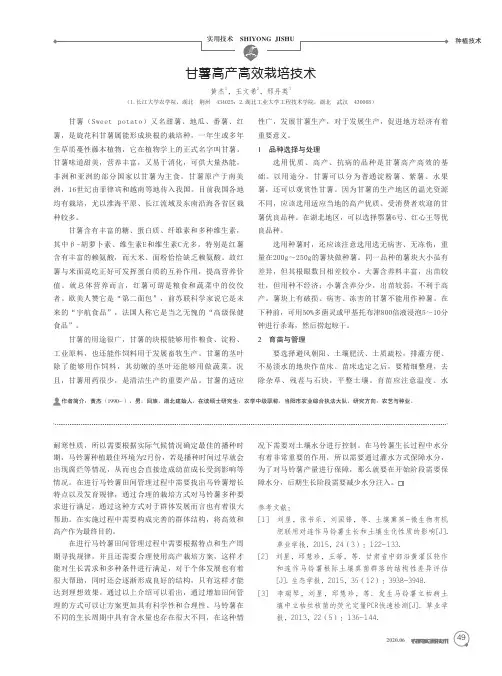 甘薯高产高效栽培技术